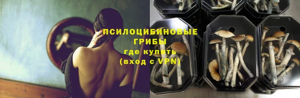спиды Абдулино