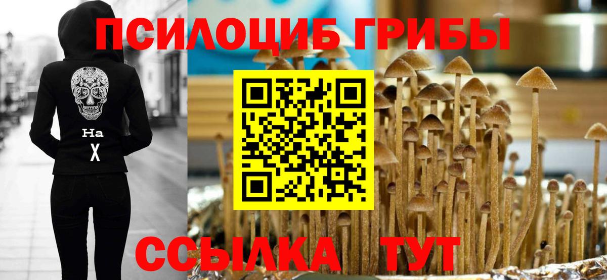 Шарыпово  Псилоцибиновые грибы мицелий  где можно купить   Вход с VPN 